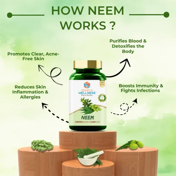 Neem Capsules - Purifies Blood & Clears Skin - Image 3
