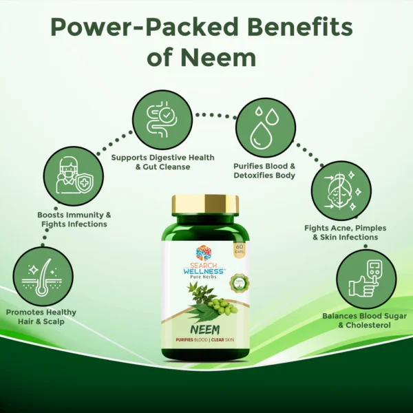 Neem Capsules - Purifies Blood & Clears Skin - Image 2