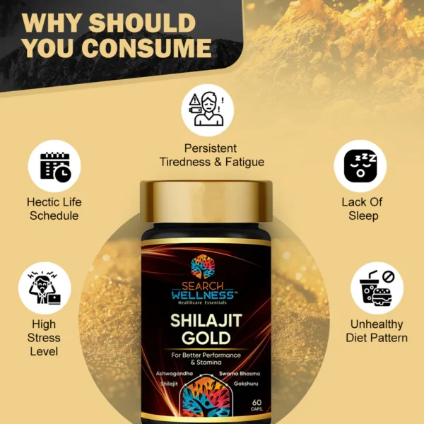 Wellness Shilajit Gold - Image 2