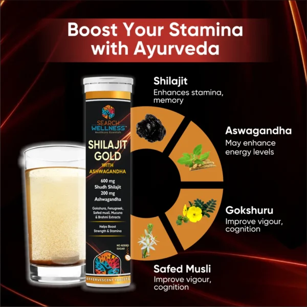 Shilajit with Ashwagandha Effervescent Tablets - Image 2