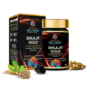 Wellness Shilajit Gold
